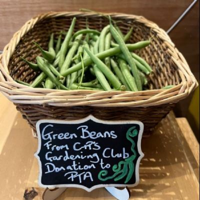 vQUzQWfVHFPCPi4LvxFKayi4mPFKyUP4oaF7Bm5zac77c56a-fee3-4d58-995a-85f814d27c051000x1000