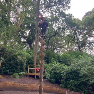 vQUzQWfVHFPCPi4LvxFKvDWtzFt2pr6im6ScqGyWc9d5cb00-0677-407d-a19d-89f6c4387f641000x1000